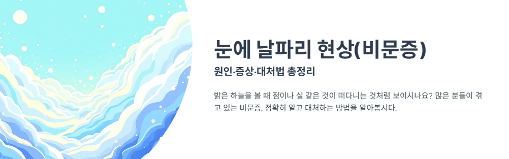 눈에 날파리 현상(비문증) 원인&middot;증상&middot;대처법 총정리