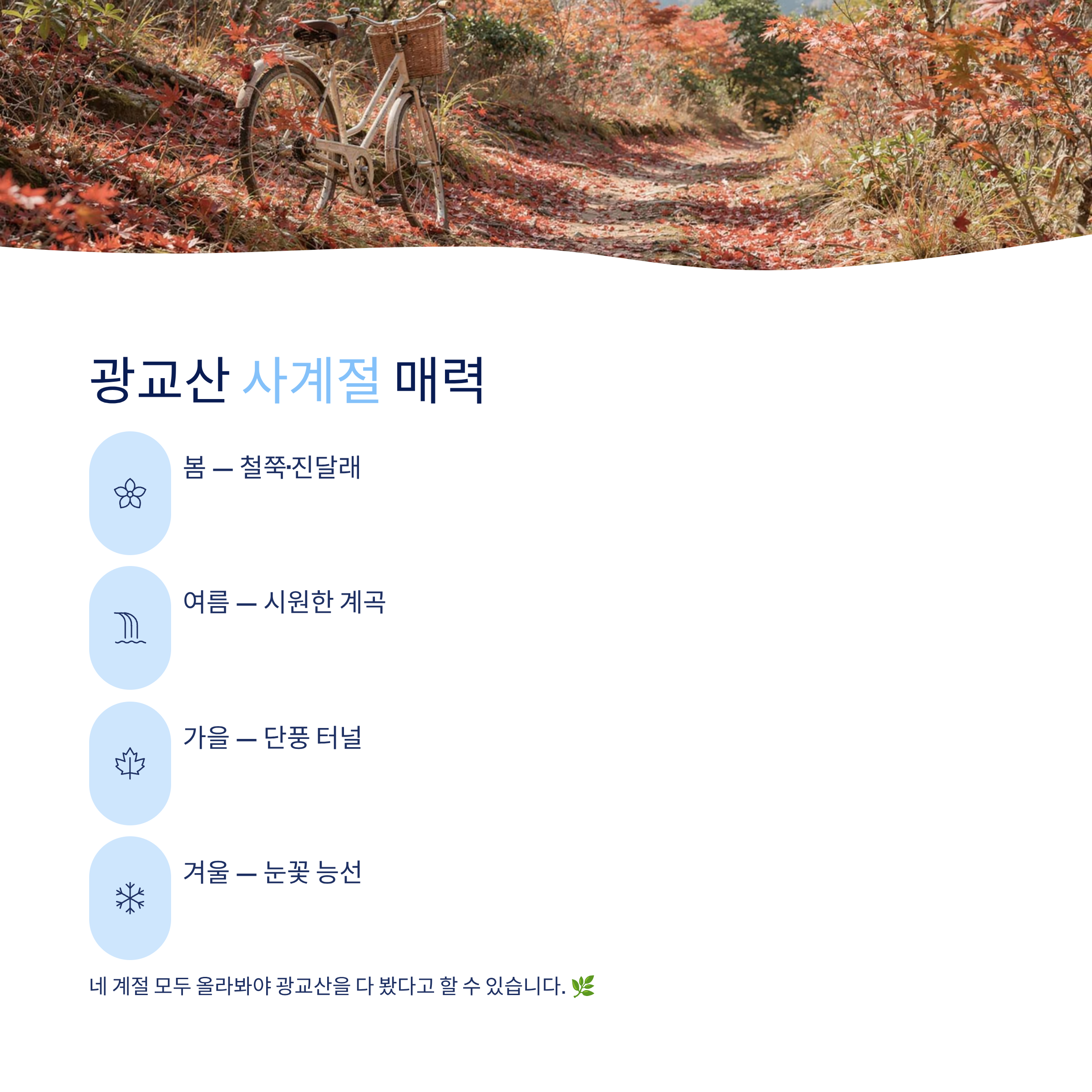 수원 광교산 트레킹 코스 완벽 가이드 &mdash; 초보부터 고수까지 모두 즐기는 법