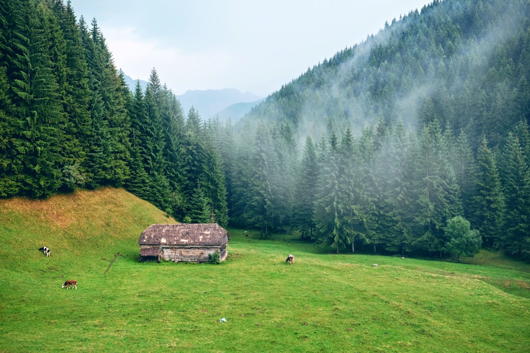 Rural welfare