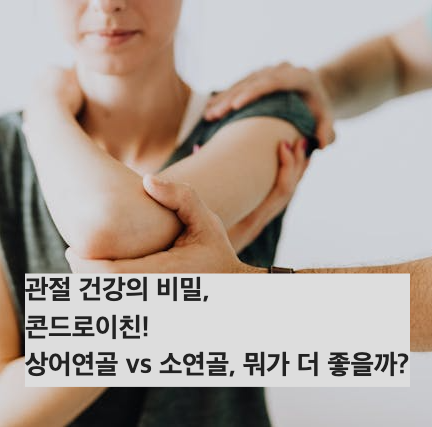 관절 물리치료 사진