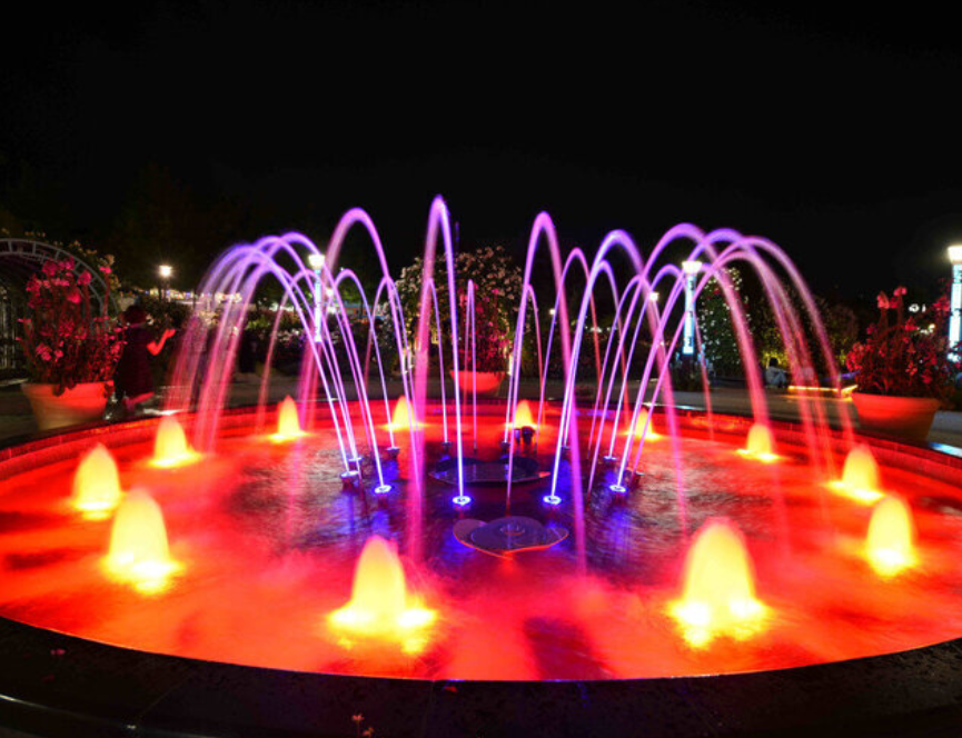 곡성 세계장미축제 개화상황