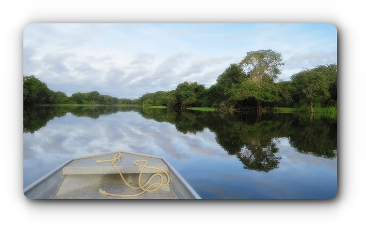 아마존-강-이미지