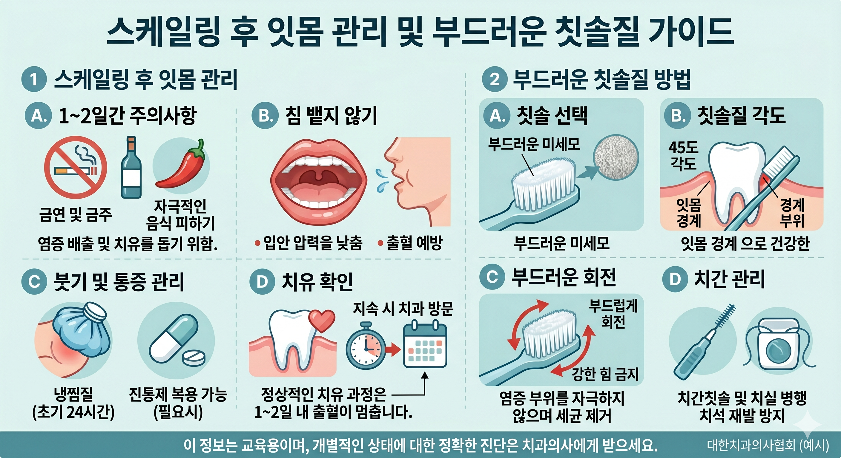 스케일링 후 잇몸 관리법과 부드러운 칫솔질 방법