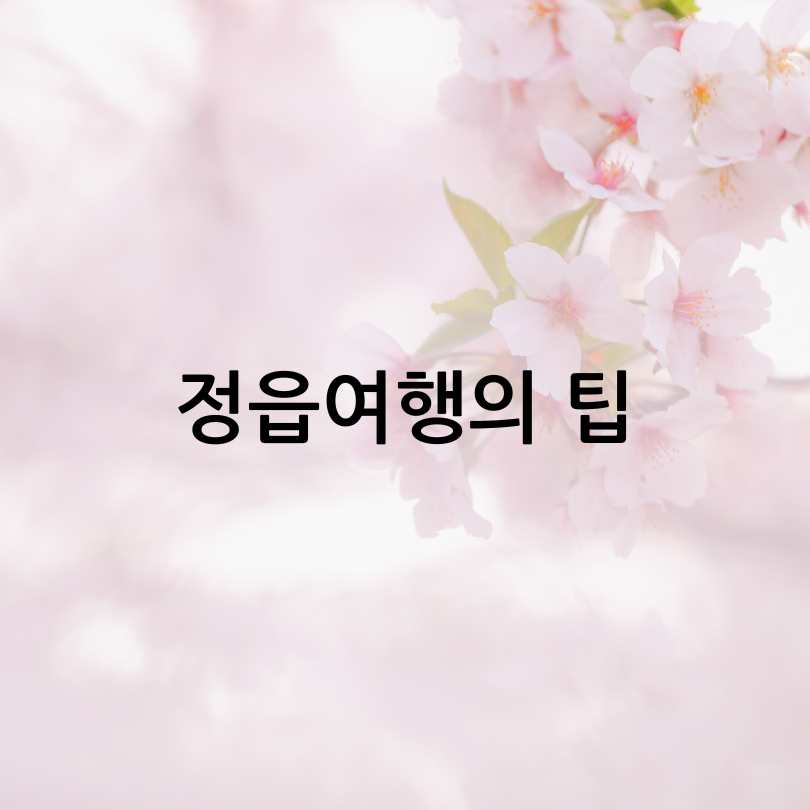 2025 정읍벚꽃축제