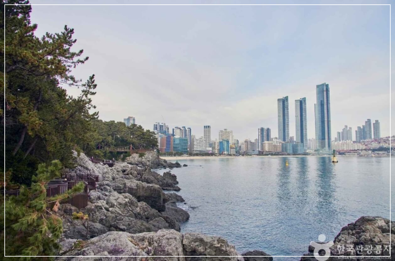 부산 가볼만한곳 베스트10 동백섬