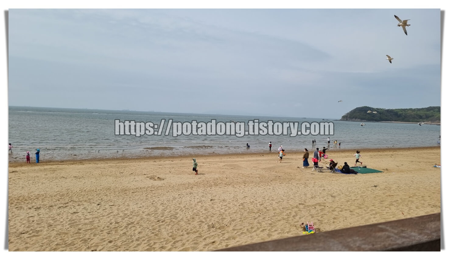 장경리해수욕장 야영장