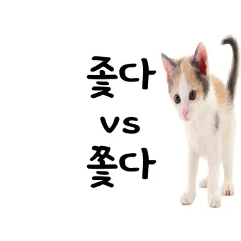 좇다 쫓다 맞춤법 맞는 표현 예문_18