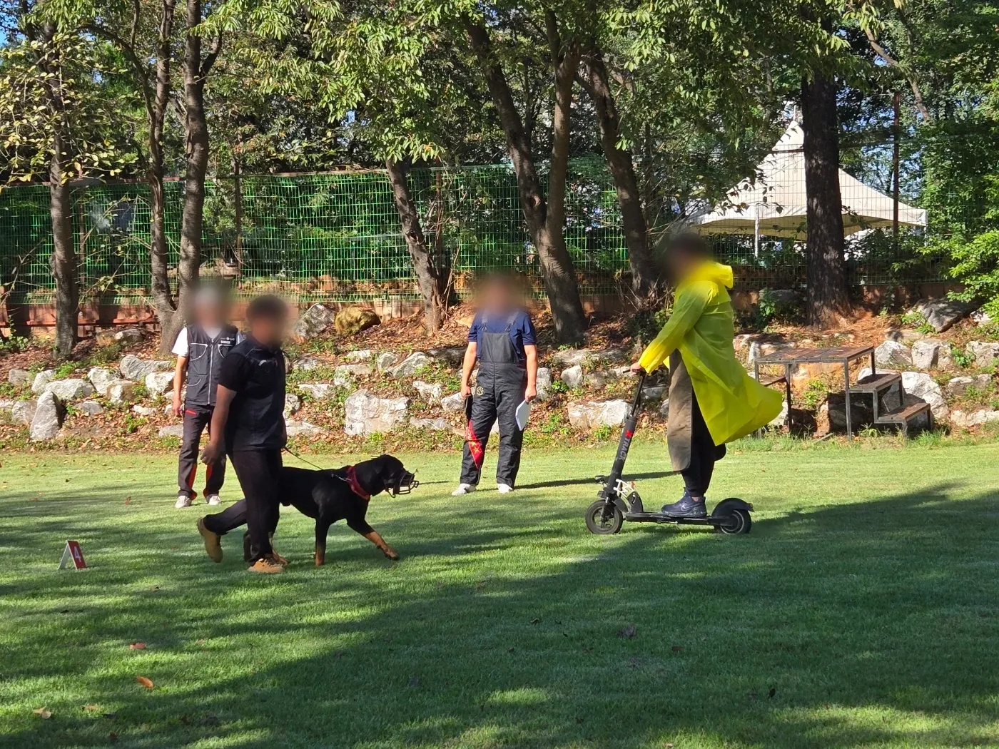 경기 맹견 사육 허가제 기질 평가 장소 비용 신청 방법 절차