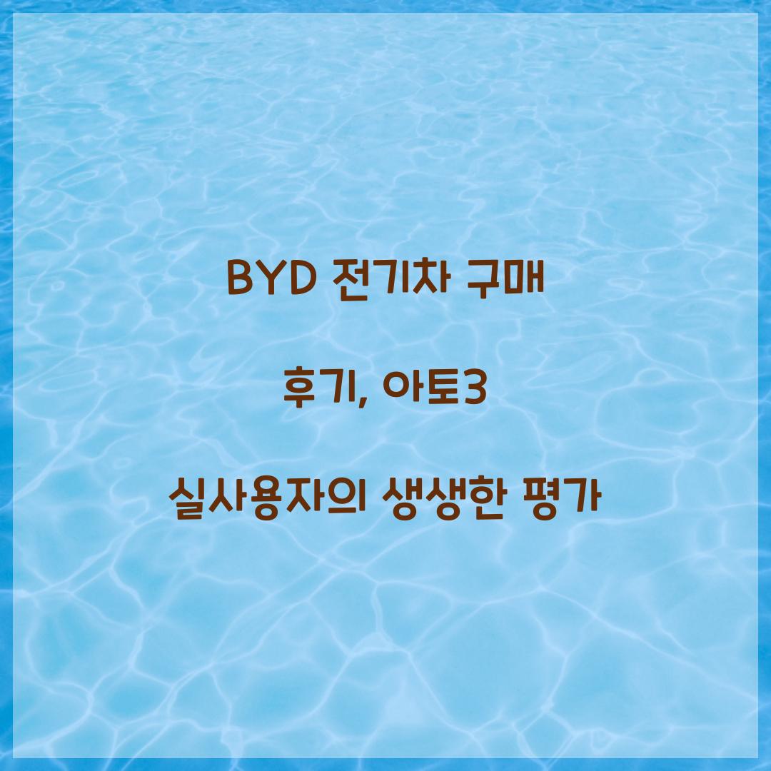 BYD 전기차 구매 후기
