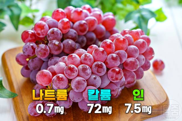 신장에 좋은 음식 적포도 나트륨 칼륨 인 적은 음식