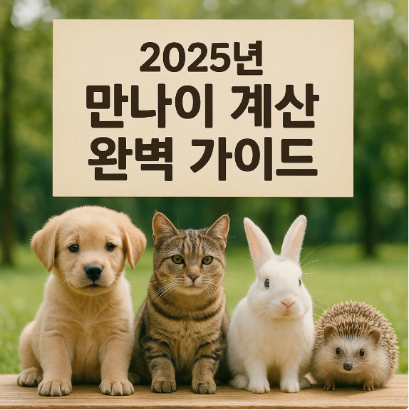 2025 만나이 계산 완벽가이드
