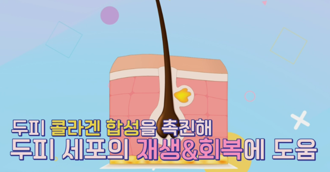 케라넷 효능