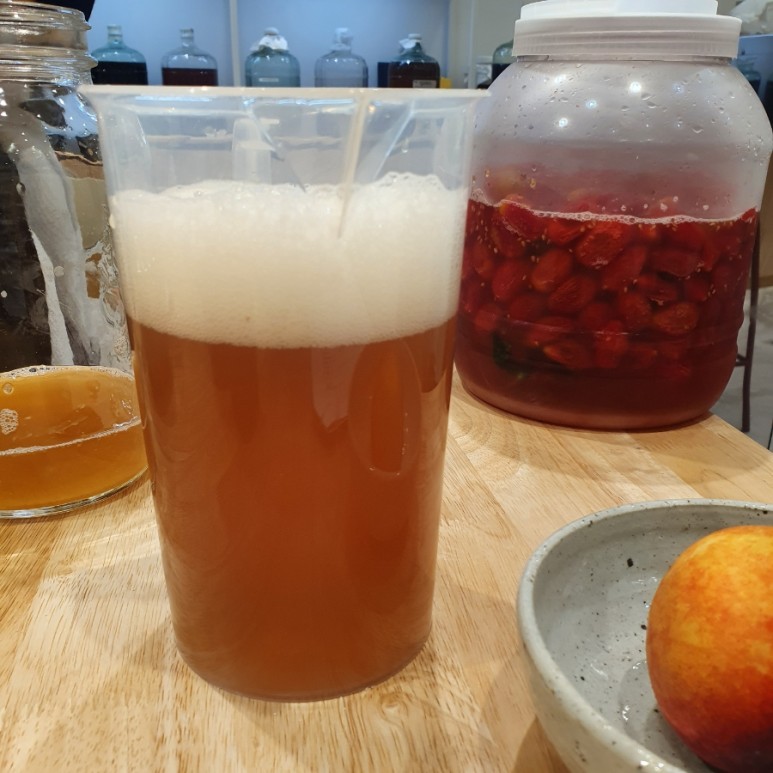 콤부차