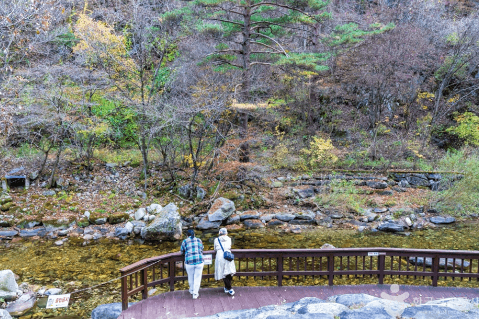 단양군 남천계곡