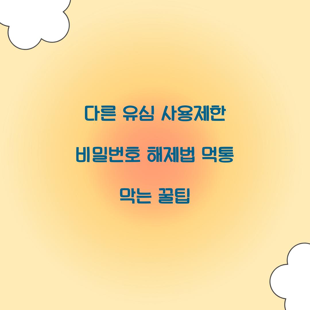 다른 유심 사용제한 비밀번호