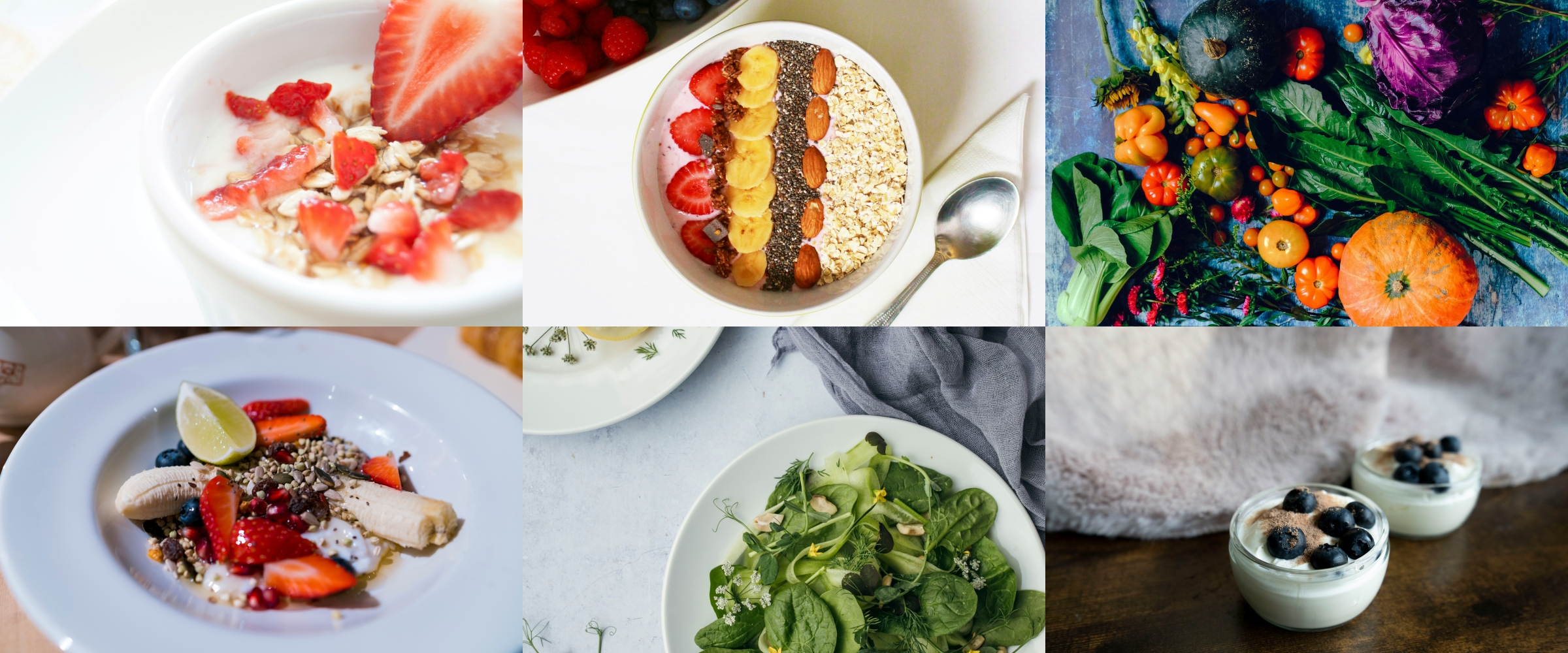 장폐색에 좋은 음식