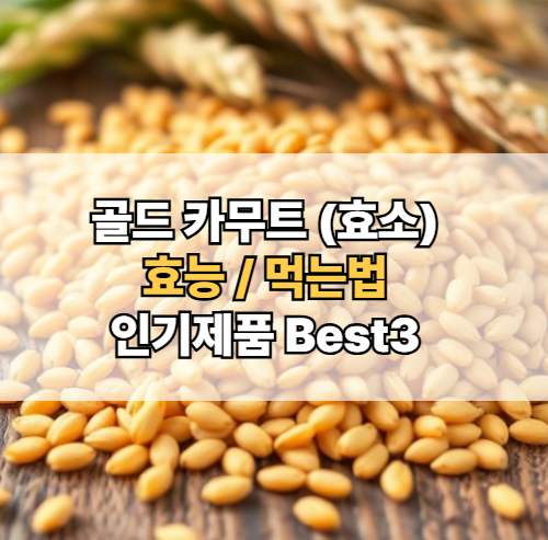 골드-카무트-효능-먹는법-제품-추천