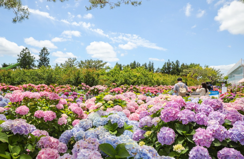 제주 휴애리 자연생활공원