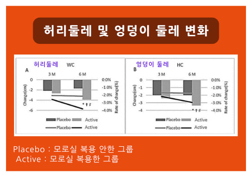 허리둘레 및 엉덩이 둘레 변화
