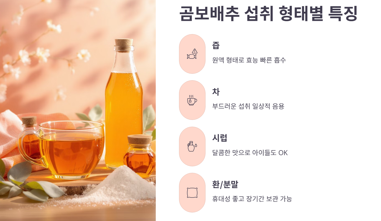 곰보배추 섭취 형태별 특징