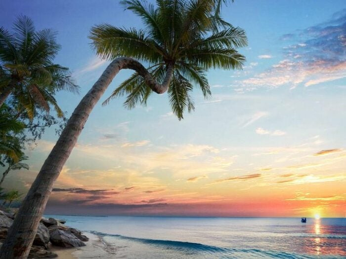 베트남 푸꾸옥 즈엉동 야시장