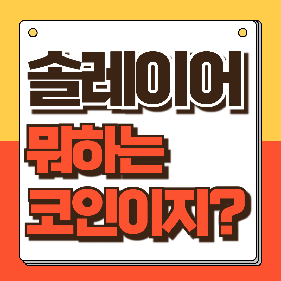 솔레이어 총정리