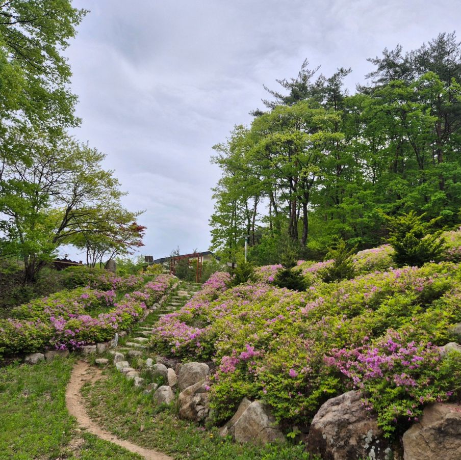 대야산자연휴양림