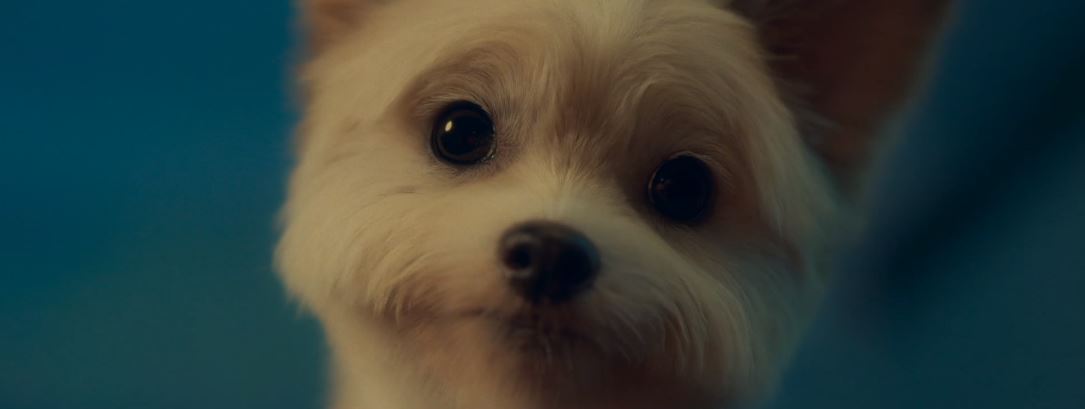 오늘도사랑스럽개_4회