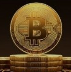 비트코인 개념 모형