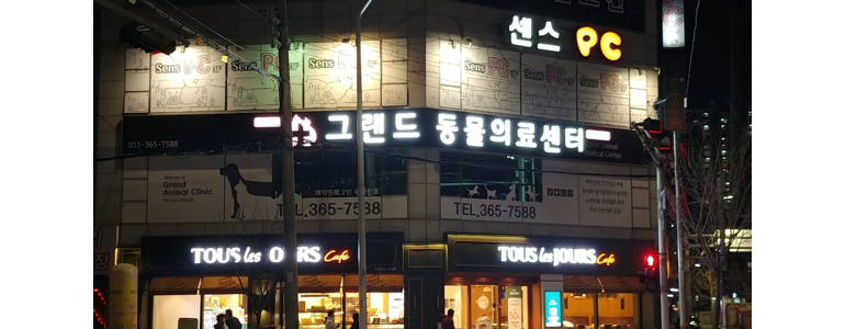 부산 북구 동물병원