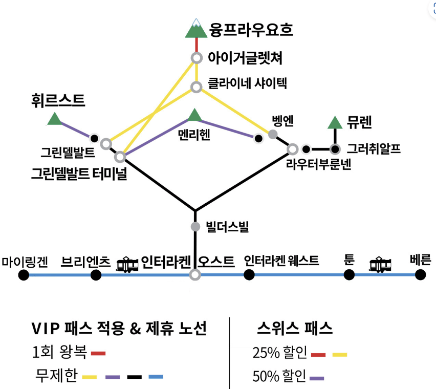 겨울 VIP패스 적용 노선 안내