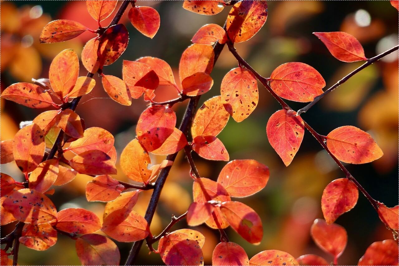저축은행 정기예금 금리비교 사이트