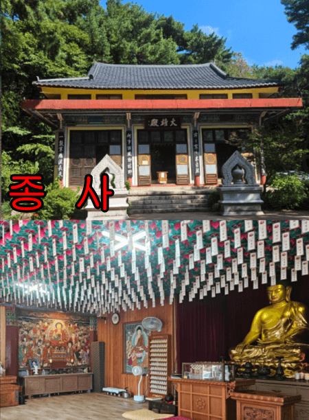 태종대 다누비열차 시간&amp;#44; 요금&amp;#44; 주차장