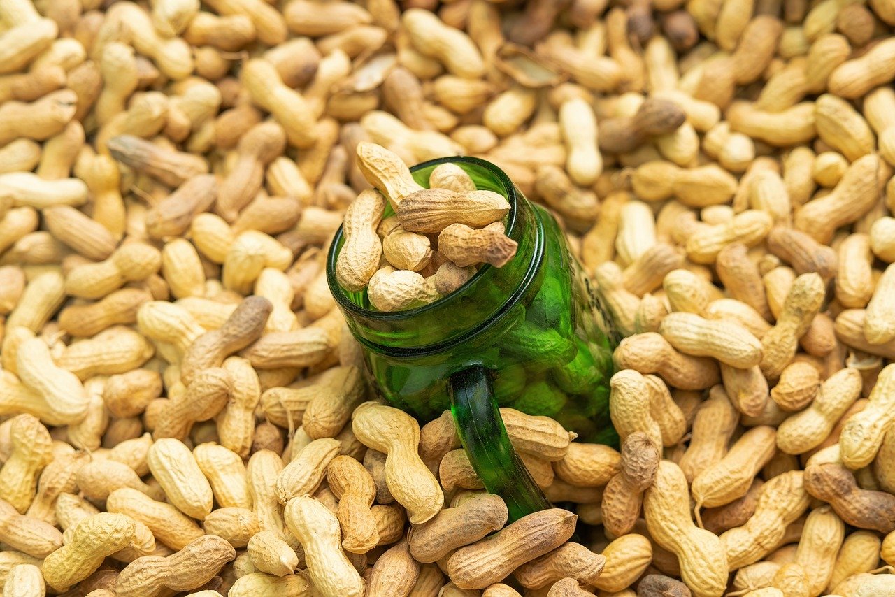 땅콩 효능, 땅콩 먹는 법, 땅콩 보관하는 법, 땅콩 부작용