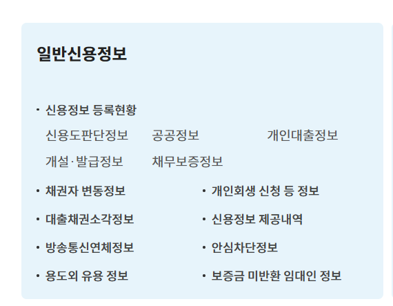 신용정보조회서 발급