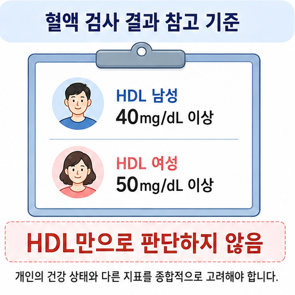 HDL 콜레스테롤의 남성 40mg/dL 이상과 여성 50mg/dL 이상 참고 수치와 HDL만으로 건강을 판단하지 않는다는 내용을 보여주는 이미지
