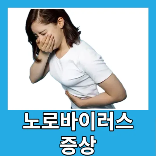 겨울 봄철 노로바이러스장염 증상 자가진단 예방 치료방법 잠복기
