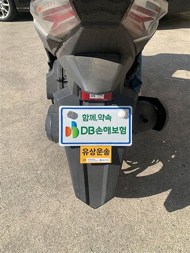 손해보험가입