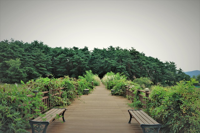 걷기 편한 길의 풍경