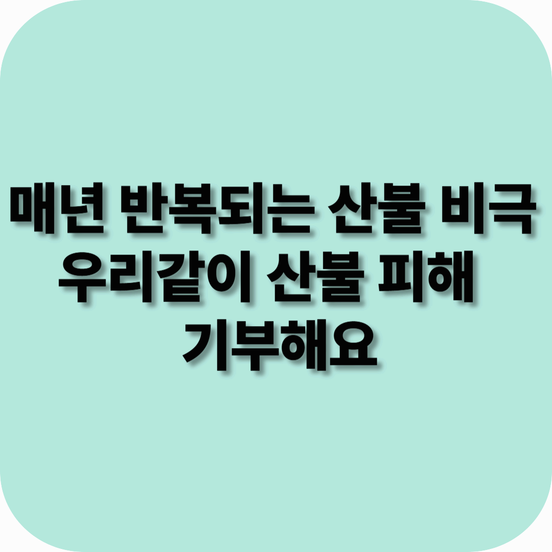 매년 반복되는 산불 비극, 우리같이 산불 피해 기부 해요.