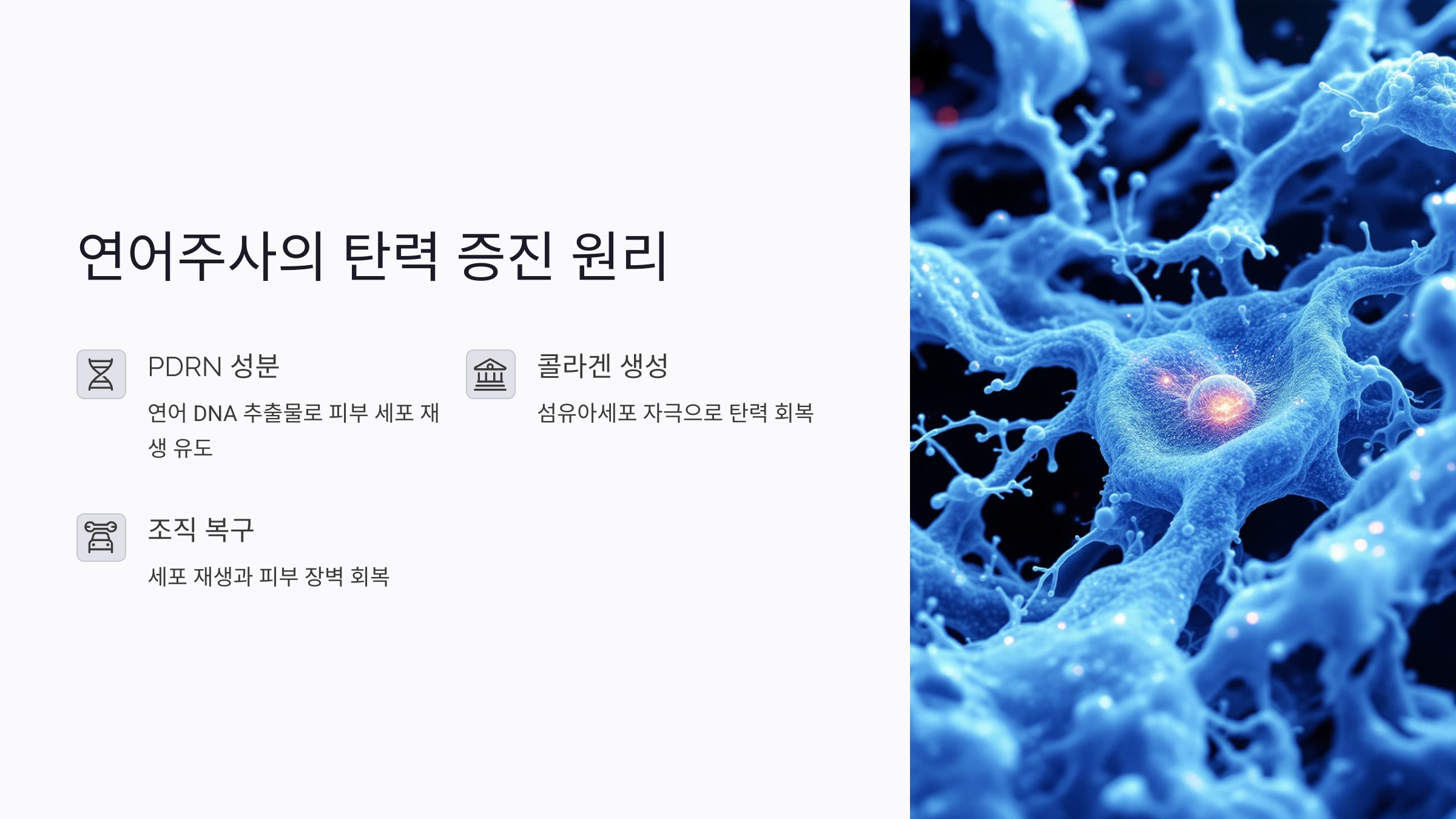 연어주사로 미세주름 개선 및 피부 탄력 증진