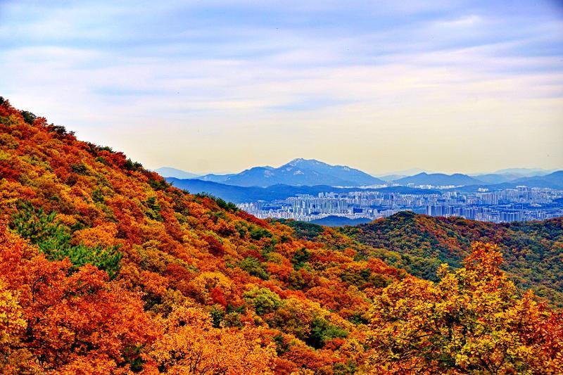 당일치기-서울-근교-단풍-구경-가볼만한-곳-남한산성
