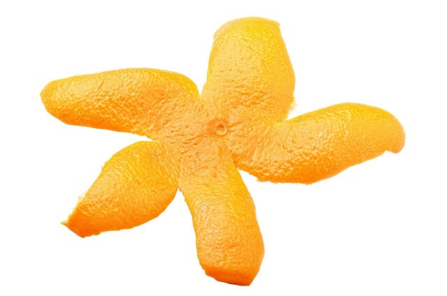 음식물처리기지원금