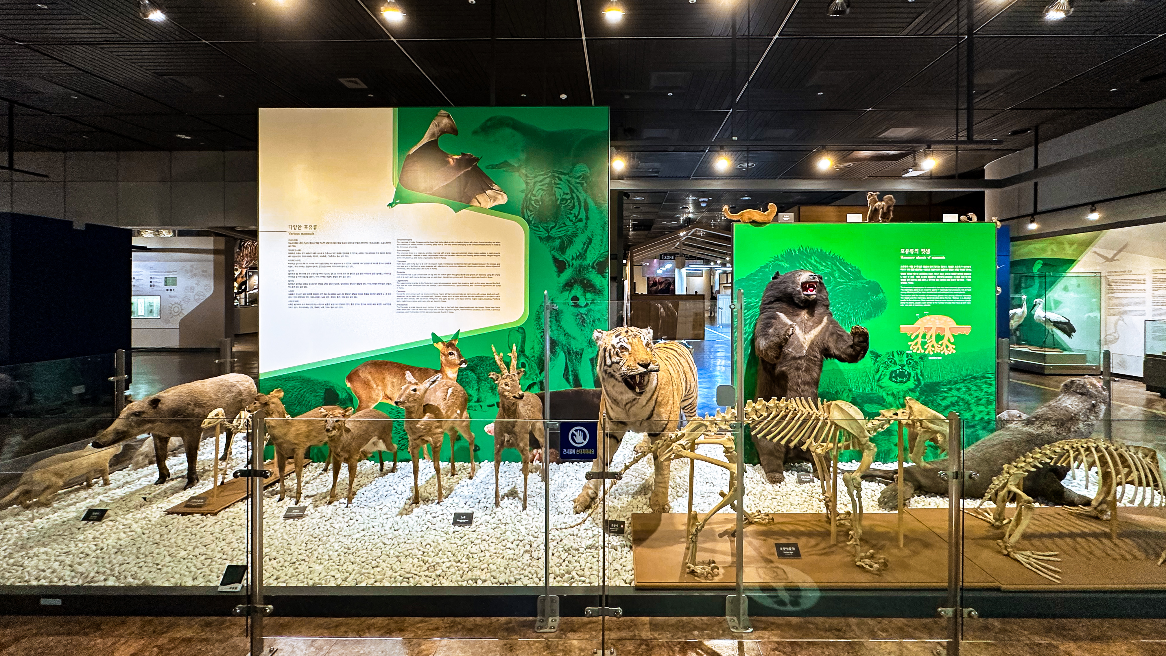 국립 중앙 과학관