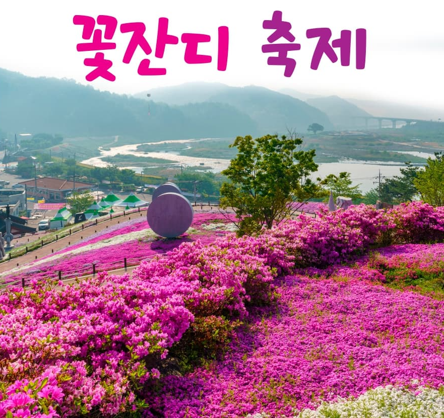 [4월~ 5월 축제]산청 꽃잔디 축제 &amp; 철쭉❘꽃잔디, 철쭉 개화 상황, 생초국제조각공원의 모습