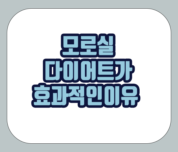 모로실 다이어트가 효과적인 이유 - 지방세포축적억제, 기초대사량 상승, 식욕억제, 포만감유지