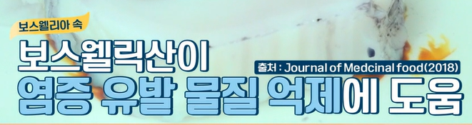 보스웰리아 효능