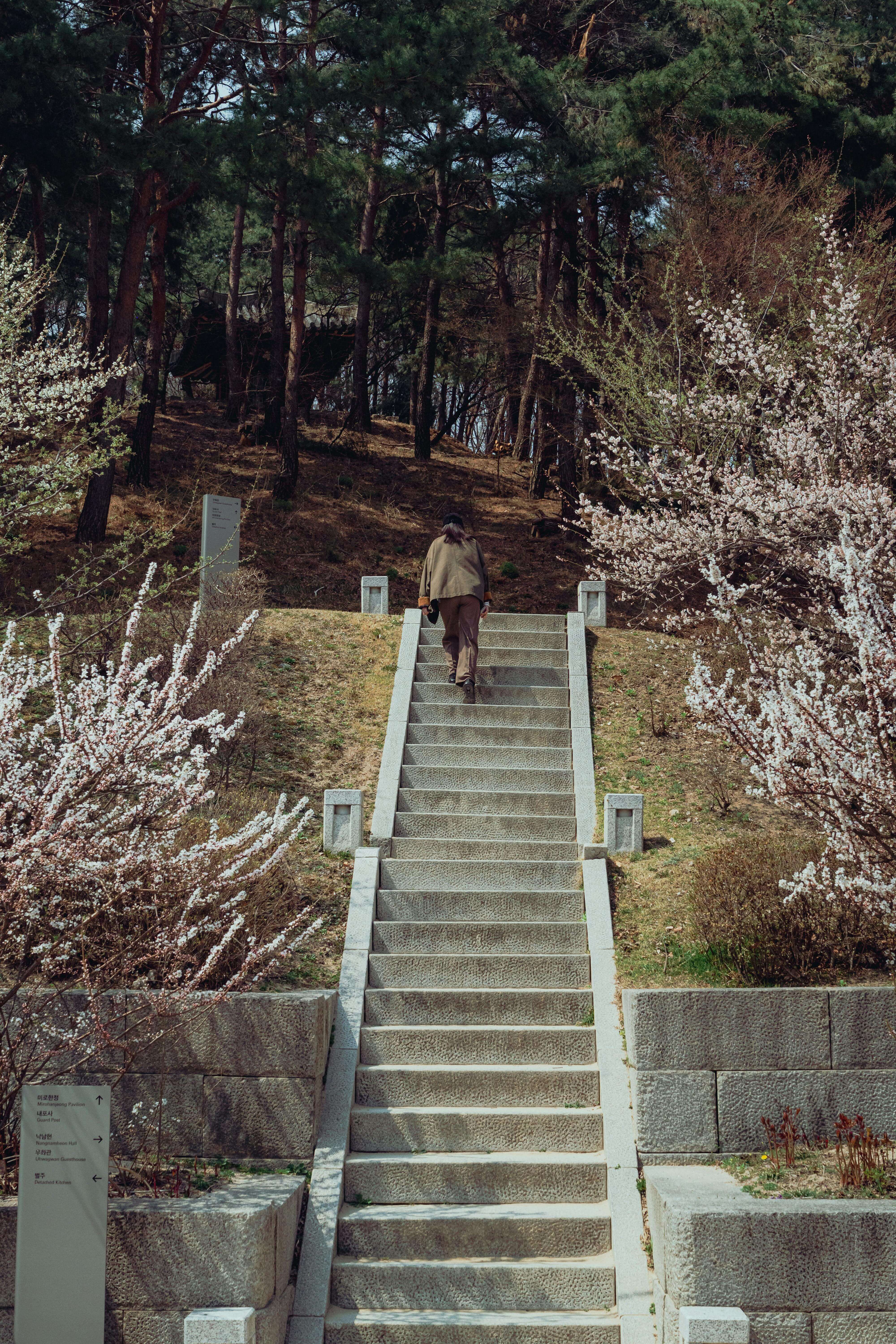 무릎통증관리법