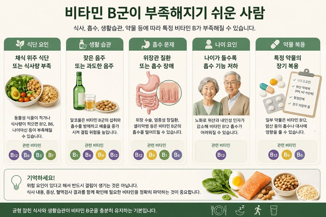 채식 식단과 음주, 위장 흡수 문제, 고령, 약물 복용으로 나눈 비타민 B군 결핍 위험 요인