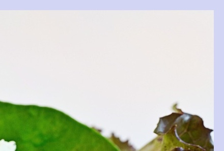 대상포진 치료방법